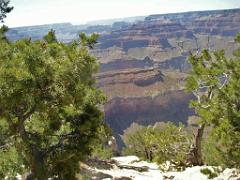 107  USA LE GRAND CANYON 2005_000016
